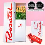 caja-con-12-rosas-amarillas-y-chocolates-bom-5-unids-rosatel