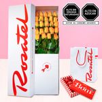 caja-con-24-rosas-amarillas-y-chocolates-bom-5-unids-rosatel