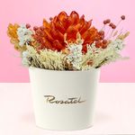 Sombrerera con Flor Maguei Naranja Rosatel