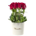 Sombrerera Crema Mediana con 15 Rosas Rojas Rosatel