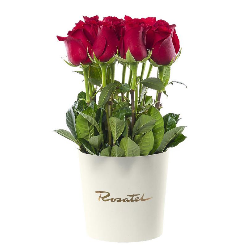 Sombrerera Crema Mediana con 15 Rosas Rojas Rosatel