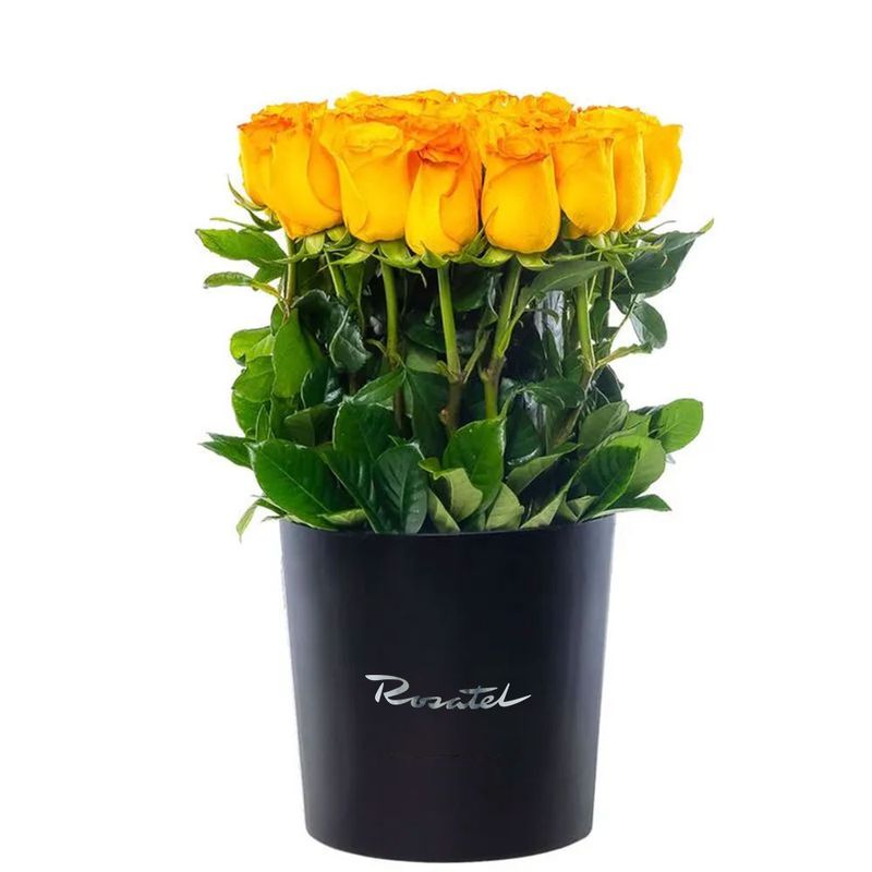 Flores 25 rosas amarillas para mi novia en sombrerera negra grande Rosatel