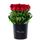 Flores 25 rosas rojas para mi novia en sombrerera negra grande Rosatel