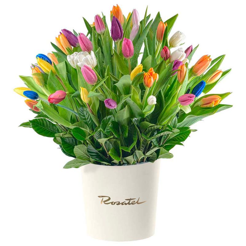 Sombrerera Crema Grande con 60 Tulipanes Rosatel