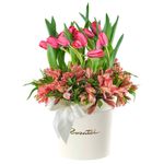 Sombrerera Crema Grande con 15 Tulipanes y Astromelias Rosatel