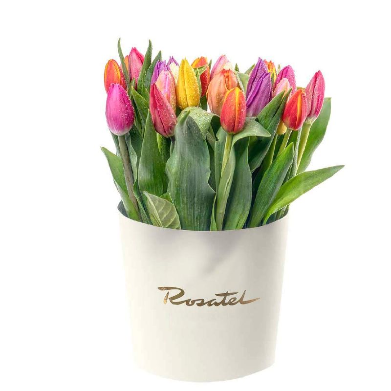 Sombrerera Crema Mediana con 24 Tulipanes Variados Rosatel
