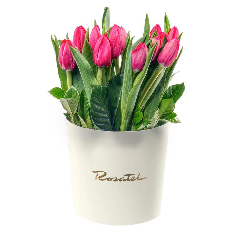 Sombrerera Crema Mediana con 22 Tulipanes Rojos Rosatel