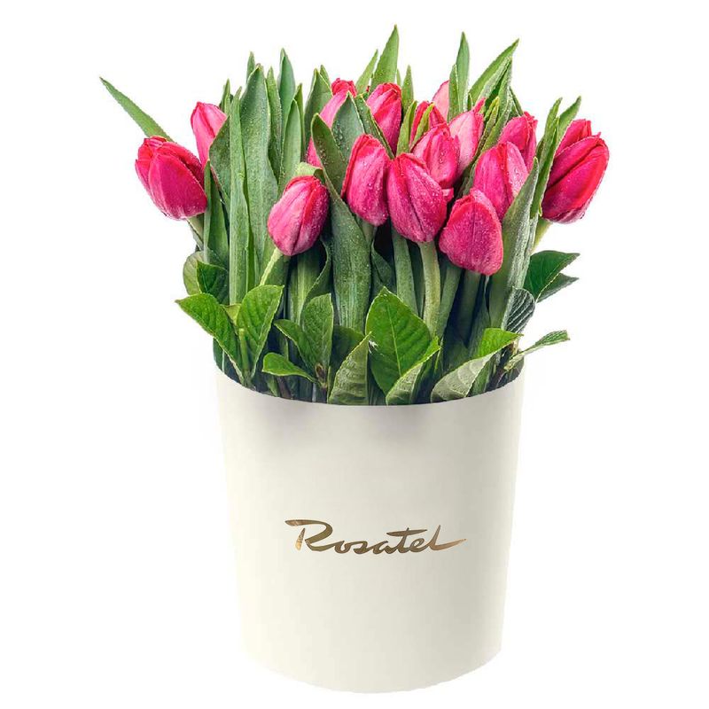 Sombrerera Crema Mediana con 24 Tulipanes Rojos Rosatel