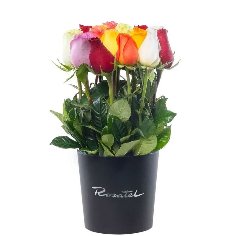 Compra online sombrerera negra mediana con 15 rosas variadas Rosatel