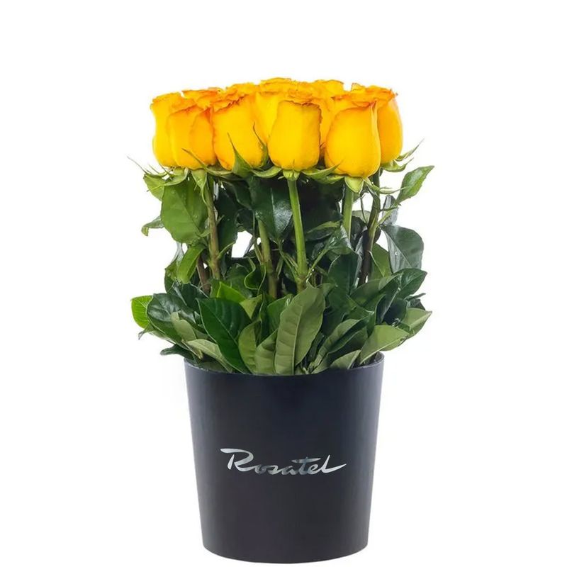 Envío flores 15 rosas amarillas en sombrerera negra mediana Rosatel