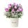 Flores delivery 15 rosas lilas y flores en sombrerera crema grande Rosatel