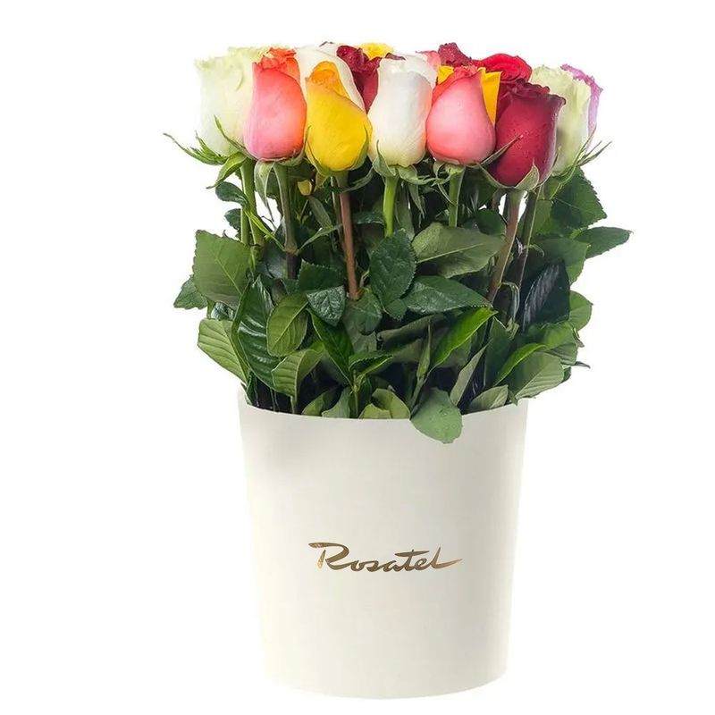 25 Rosas de colores en sombrerera crema grande Rosatel