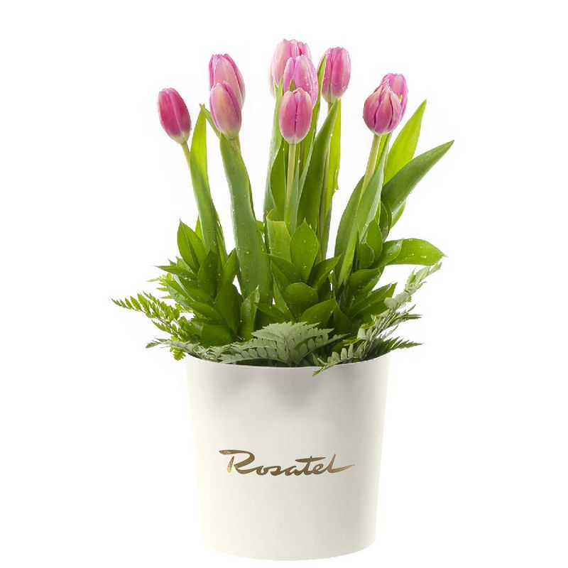 Arreglos florales sombrerera crema mediana con 10 tulipanes rosados y follajes Rosatel