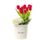 12 Tulipanes rojos en sombrerera crema grande Rosatel