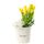 12 Tulipanes amarillos en sombrerera crema grande Rosatel
