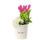 12 Tulipanes fucsias en sombrerera crema grande Rosatel