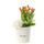 12 Tulipanes naranja con borde amarillo en sombrerera crema grande Rosatel