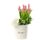 12 Tulipanes rosados en sombrerera crema grande Rosatel