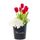 Envío flores 6 tulipanes rojos hortensias y flores en sombrerera negra mediana Rosatel