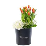 12 Tulipanes naranja con borde amarillo hortensia y flores en sombrerera negra grande Rosatel