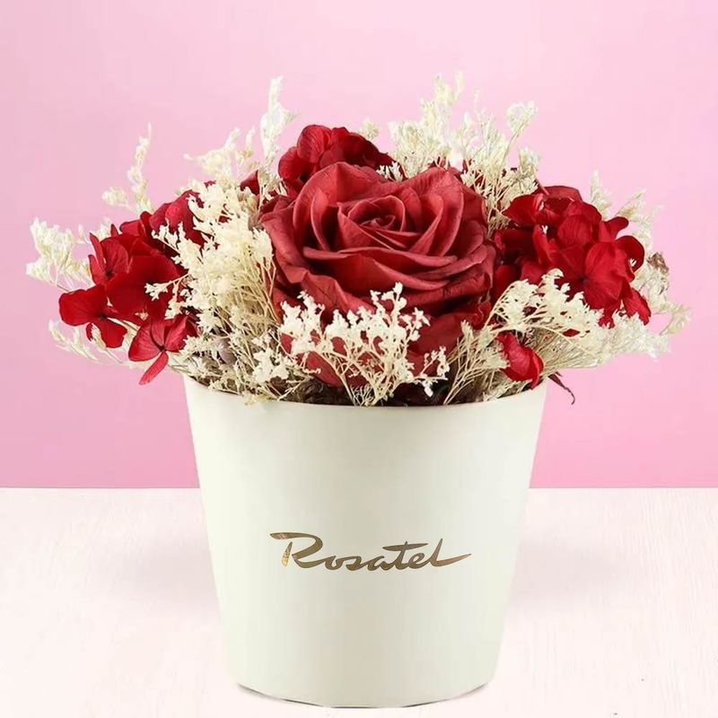 Florería a domicilio mini arreglo preservado vino Rosatel
