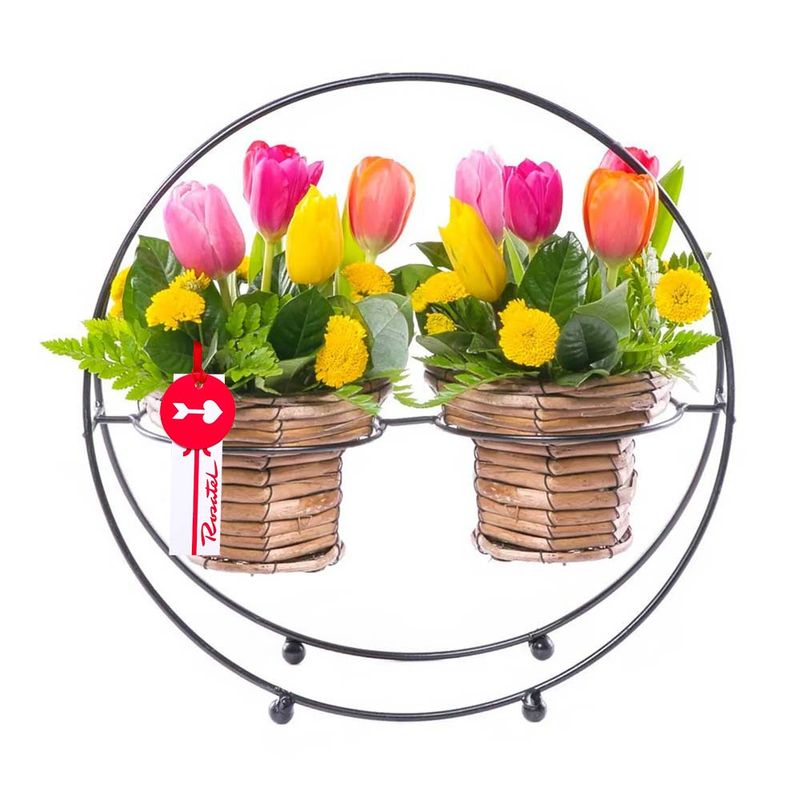 Arreglos diseño aro con tulipanes de colores Rosatel