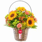 Compra online flores amarillas canasta con girasoles y flores Rosatel
