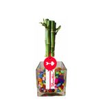 Arreglos florales bambú 5 varas y piedras de colores Rosatel