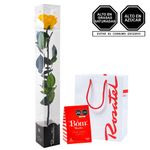 Flores amarillas rosa preservada y chocolates bom Rosatel