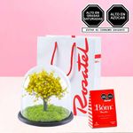 Arreglo floral árbol de la vida amarillo y chocolates bom Rosatel