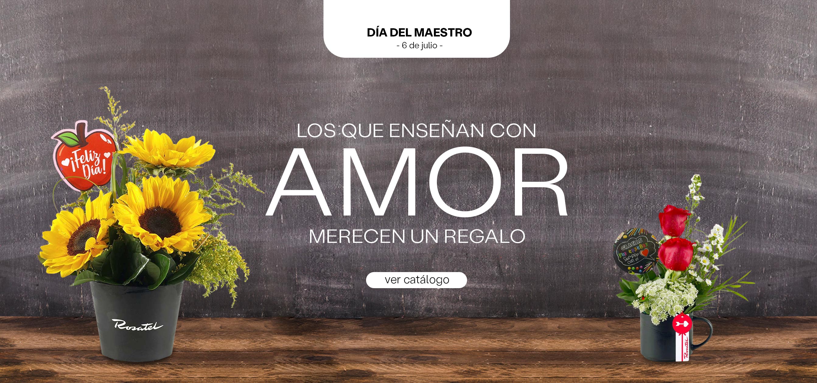 Día del Maestro Catalogo Rosatel