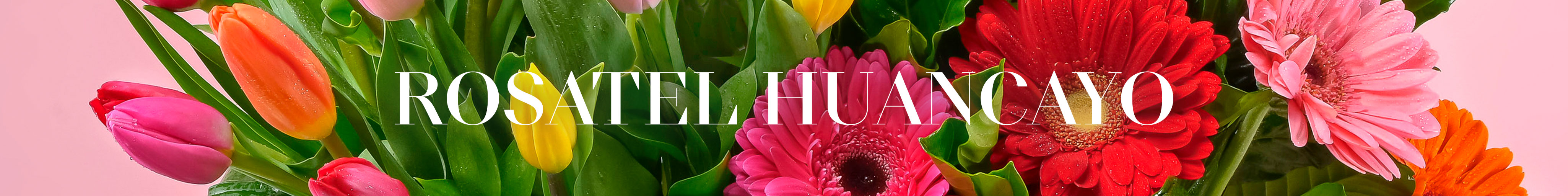 Rosatel Huancayo Envío de Flores y Regalos a domicilio