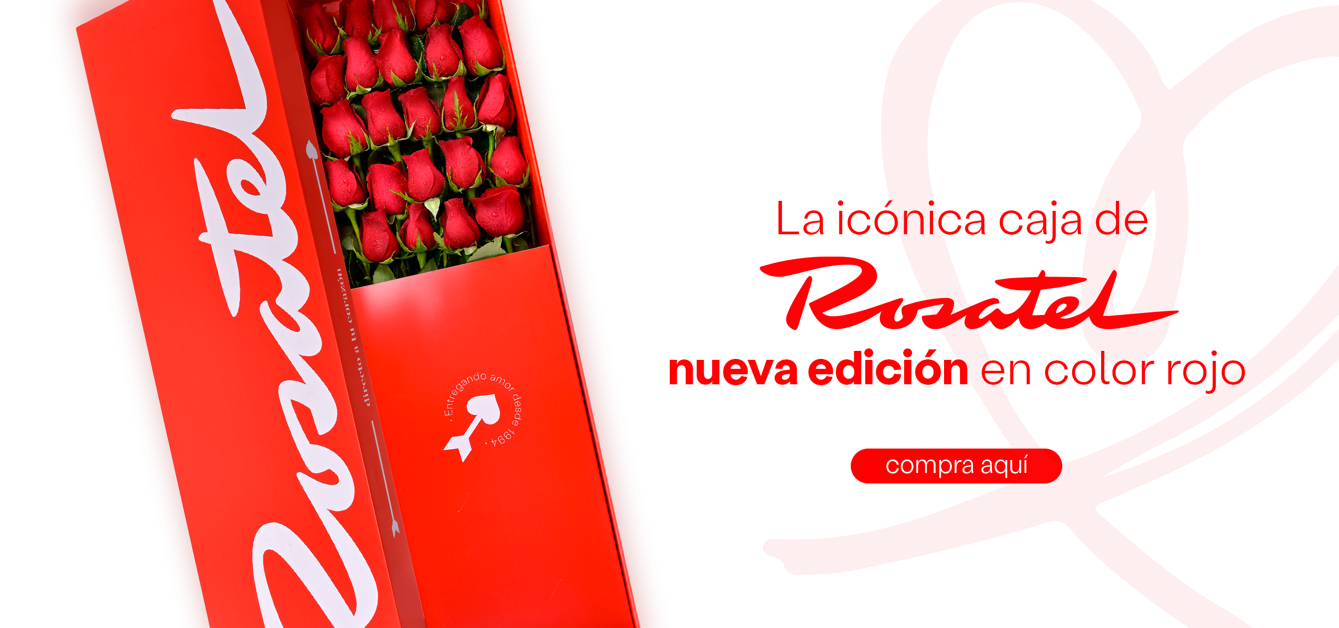 Caja Roja Rosatel con 24 Rosas
