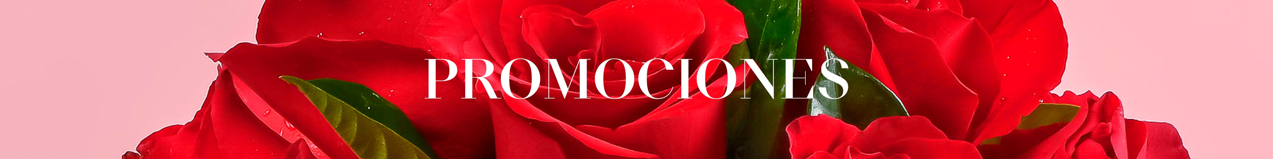 Promociones Rosatel