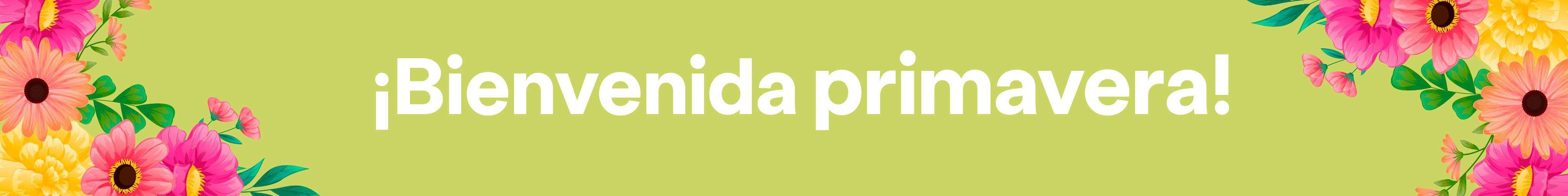 Catálogo Primavera Rosatel