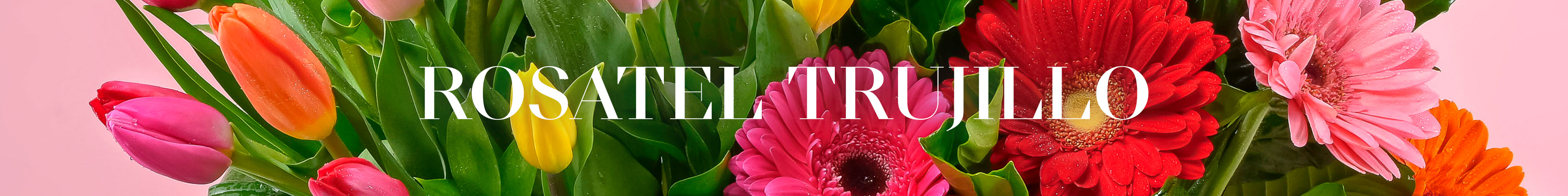 Rosatel Trujillo Envío de Flores y Regalos a domicilio Rosatel Trujillo Envío de Flores y Regalos a domicilio