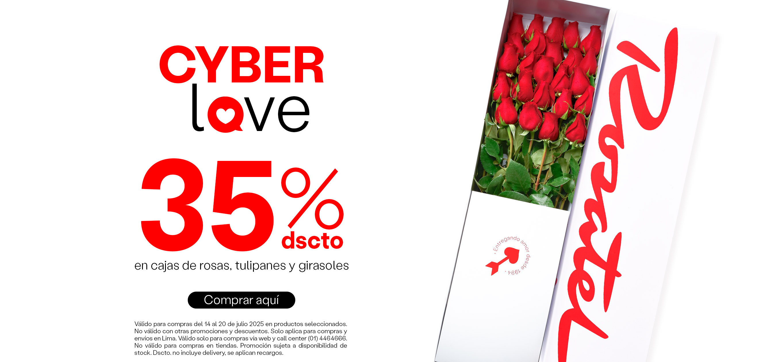 Cyberlove Rosatel